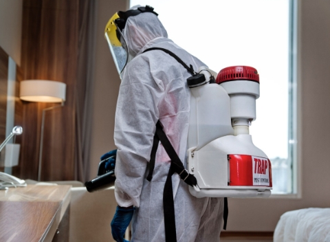 TRAP pest control expert wearing special clothes and disinfecting a house