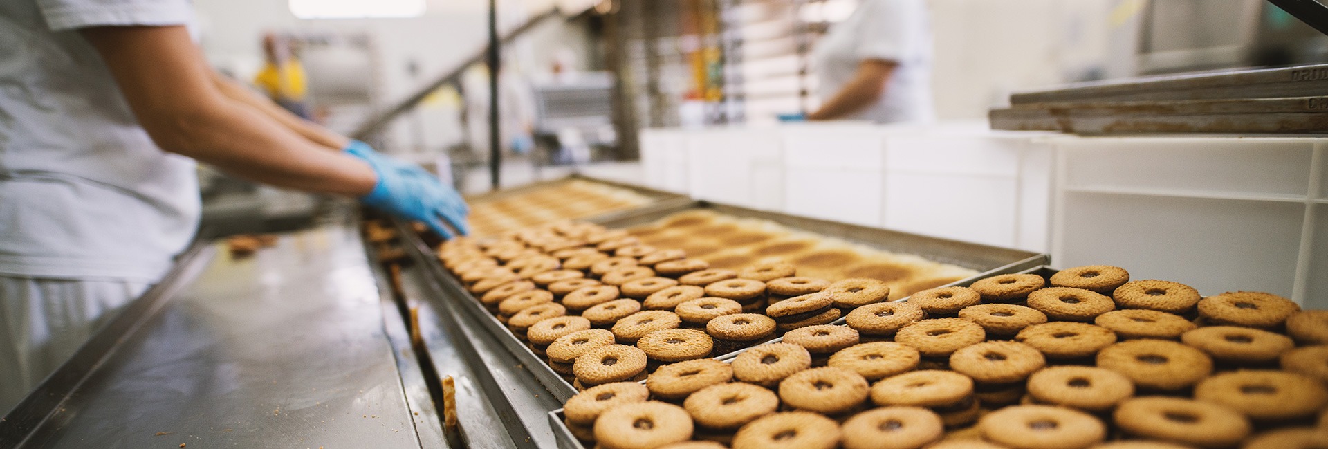 An employee working at a cookies factory
