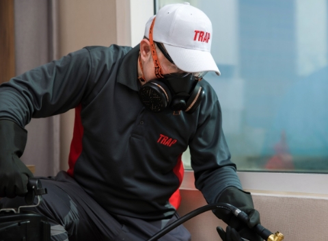 TRAP pest control expert wearing mask working on treating pests